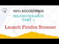 SST2 D17 7 Selenium Run with Firefox Browser