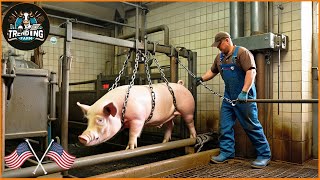 The World's Most Modern Pig Farming Technology - Farmers Earn $3 Million Year | Farming Documentary