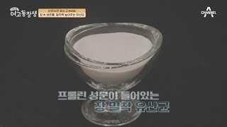 장 속에 들어가도 녹지 않고 붙어있는 유산균? 일반 유산균과 밀착 유산균의 차이는? | 산전수전 여고동창생 45 회