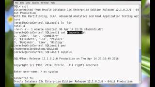 SQLLoader Express Mode