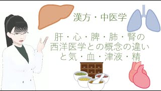 漢方・中医学と西洋医学（肝・心・脾・肺・腎の概念の違いと気・血・津液・精）