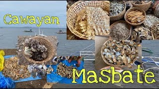 THE BEST AND FRESHEST SEA FOODS AND DRIED FISH | CAWAYAN MASBATE