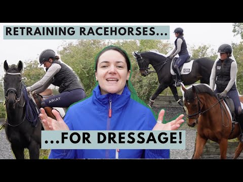 How to Retrain a Racehorse (for dressage!) Riding With Rhi, Equestrian YouTuber