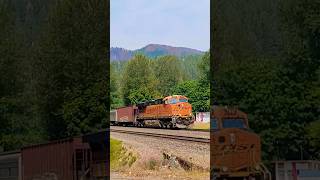 BNSF Geometry Train