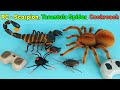 Scorpion, Tarantula Spider And Crawling Cockroach - Remote Control RC | Unboxing & Review