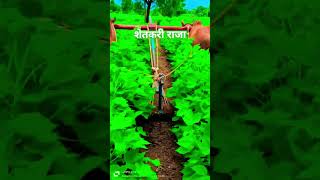 शेतीचा नाद तर कसा सुटल शेती हे खानदानी आहे #shetakari #दयानंद पुंडे शेतकरी राजा#agriculture