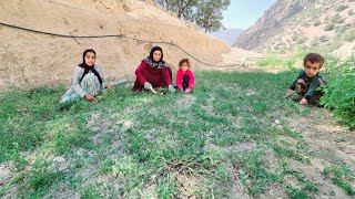 ** 🚜🍳🌾 **Adventure in Faryab family farm: cooking and picking grass** 🍲🌿