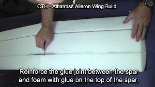 Albatross Aileron Wing Build (M)