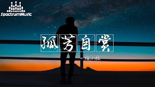 孤芳自赏 杨小壮『一个人的房间 漆黑的夜晚 看着你的故事和你的朋友圈 谁会喜欢孤单 是不想人看穿 最后一点点温暖 也被你 打散 孤独的人晚上 最害怕有灯光』【動態歌詞Lyrics】