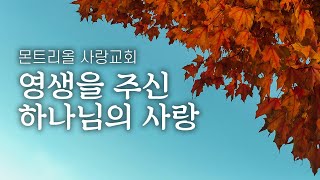 [몬트리올 사랑교회] 2024년 10월 27일 주일예배 - 영생을 주신 하나님의 사랑