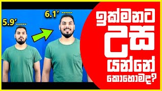 ඉක්මනට උස යන්නෙ කොහොමද? | How to get Taller FAST | mrx | sinhala