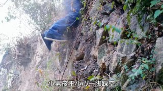 44. 狗是人类最忠诚的朋友