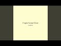 Fragile Sunset Silver