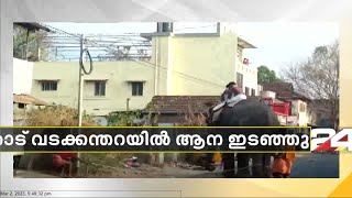 പാലക്കാട് വടക്കന്തറയിൽ ആന ഇടഞ്ഞു: മണപ്പുളളിക്കാവ് വേലക്ക് എഴുന്നെള്ളിയ ആനയാണ് വിരണ്ടത്