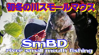 yasu 初冬のバス釣り/川スモールマウスバス/bassfishing/2018年11月