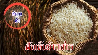 🔴ฝันเห็นข้าวสาร