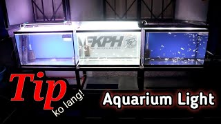 Tip ko lang! ep.4 | aquarium lights