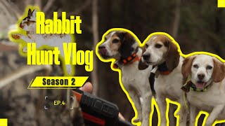 Rabbit Hunt Vlog Ep. 4 (Season 2)