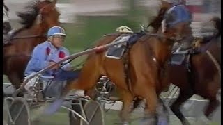Harness Racing,Moonee Valley-24/02/1996 Trotters Inter-Dominion (Pride Of Petite-M.Purdon)