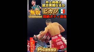 【28戦無敗16KO】悶絶ボディ連発!! ピカソ🇲🇽 井上尚弥と対戦あるか WBCスーパーバンタム級1位 Alan David Picasso 28-0, 15KO