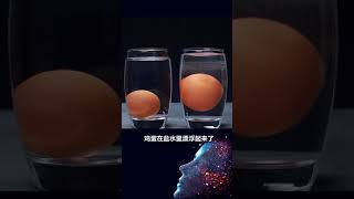 新奇百科 科学的力量有多强大？最后一个惊掉你下巴！ #趣味科学实验 #物理实验 #我在快手涨知识  @快手科普