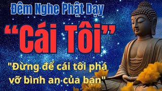 Chấp cái tôi: Cội nguồn của mọi đau khổ | Lời Dạy Của Đức Phật