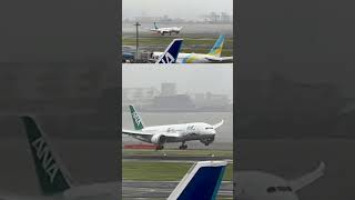 機体を揺らして、緑の尾翼がタッチダウン＆逆噴射！【雨】ANA Green Jet Boeing 787-9 東京国際（羽田）空港 #Shorts