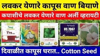 लवकर येणारे कापसाचे वाण व्हरायटी बियाणे | दिवाळीत कापूस | kapus lavakar yenare biyane | cotton seed