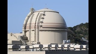 大飯原発3号機が再稼働