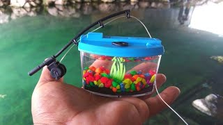 BEST MICRO Fishing Challenge with WORLD'S SMALLEST Rod and AQUARIUM!!! (Help Identify)