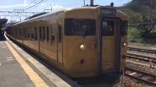 【JR西日本】山陽本線　115系濃黄色オカD08+カフェオレ色オカK05編成　上郡発車