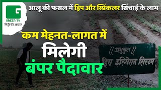 टपक सिंचाई विधि से आलू उत्पादन कितना फायदेमंद किसानों के लिए ? Drip Irrigation | Potato Farming