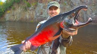 20 Biggest River Monsters Ever Caught