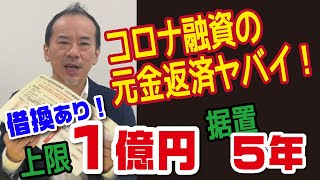 コロナ融資【元金返済】ヤバイ！という方【借換あり】上限１億円・据置５年