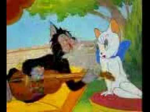 Image Result For Funny Facebook Punjabi Talking Tom Cat Image Result For Funny Facebook Punjabi Talking Tom Cat