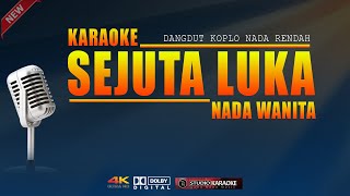 KARAOKE SEJUTA LUKA ( NADA WANITA ) DANGDUT KOPLO NADA RENDAH