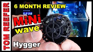 Reef Tank HYGGER MINI WAVE - CONTROLLER TUTORIAL - 6 MOS REVIEW!