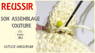 AMIGURUMI ASSEMBLAGE  COUTURE INVISIBLE