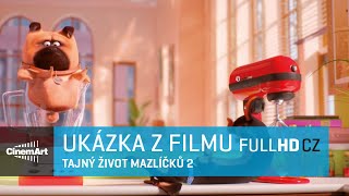 Tajný život mazlíčků 2 (2019)  UKÁZKA - PES V MIXÉRU