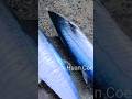 Timbang Ikan Tenggiri Super #seafood #fish #fishing #ikan #mancing #vlog #beach #pantai #nelayan