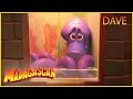 DreamWorks Madagascar en Español Latino | La Historia de Dave | Pingüinos de Madagascar