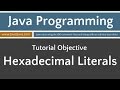Learn Java Progamming - Hexadecimal Literals Tutorial