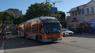 LA Metro LADOT Dash, Culver City Santa Clartia Big Blue Bus \u0026 Long Beach Transit Bus Action at UCLA