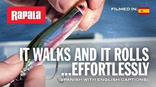 Topwater action with the MaxRap® Walk'n Roll | Rapala® (New Lure)