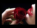 avetis azaryan quan les roses