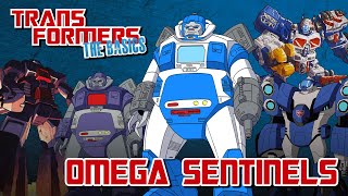 TRANSFORMERS: THE BASICS on the OMEGA SENTINELS