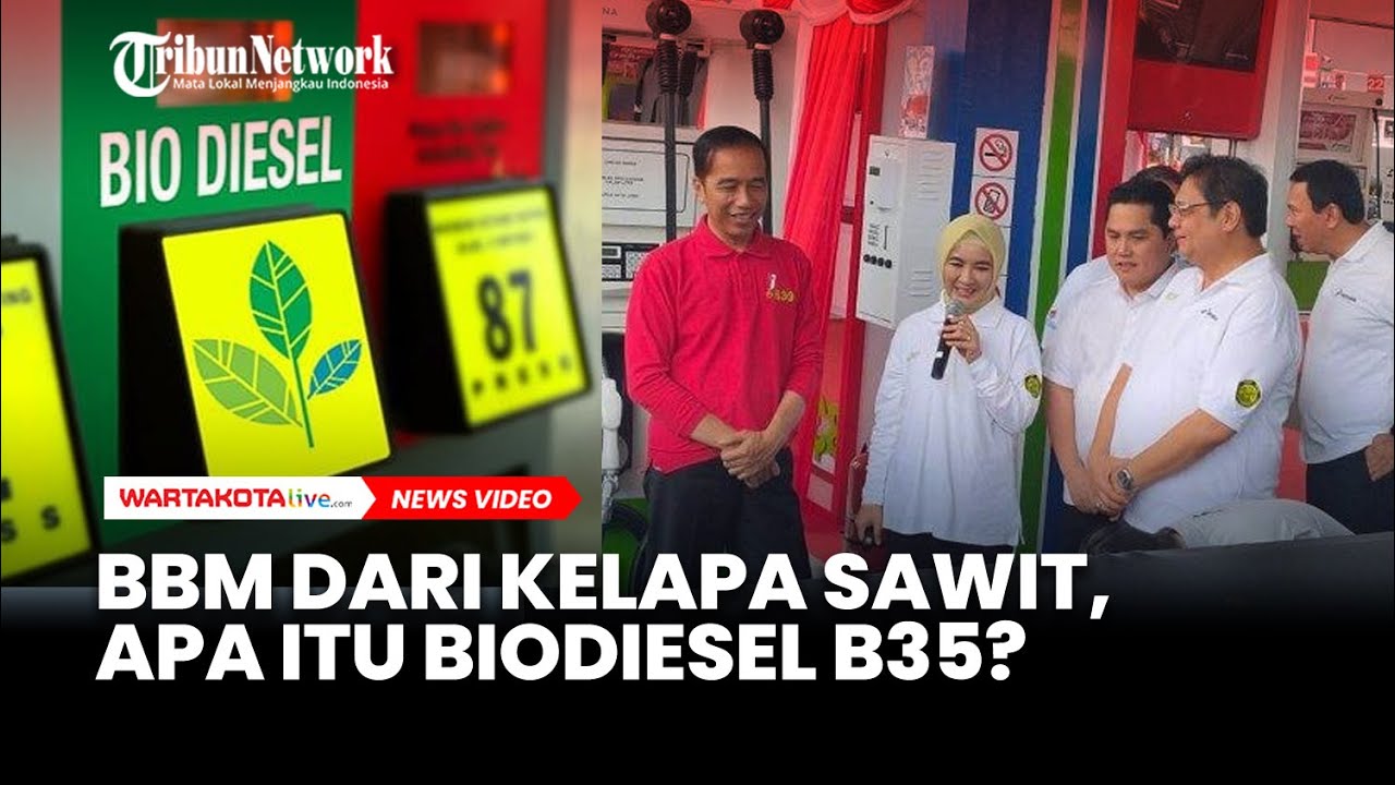 1 Februari 2023 Resmi Diterapkan BBM Dari Kelapa Sawit, Apa Itu ...