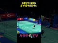 드롭샷이 얼마나 짧게 떨어진걸까?? #서영민티비 #แบดมินตัน #badminton #バドミントン #배드민턴 #bulutangkis #羽毛球 #shorts