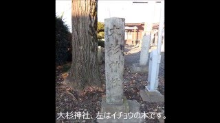 大杉神社　（栃木県市貝町赤羽）　2016年1月7日