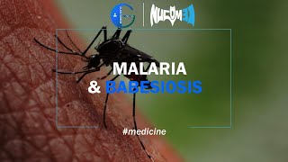 malaria & Babesiosis | Dr.Nazar